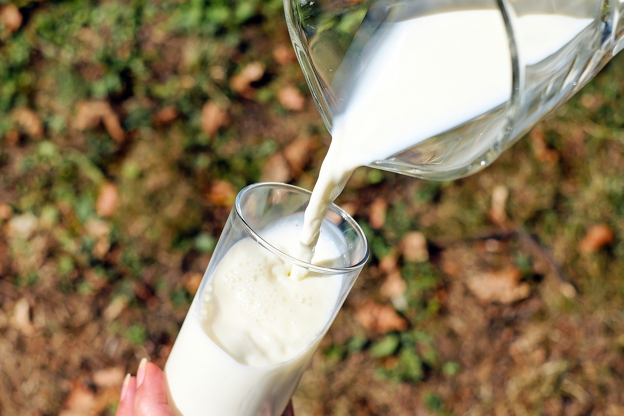 Le lait aromatisé : un apport en nutriments de qualité