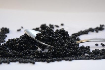 Avantages pour la santé du caviar