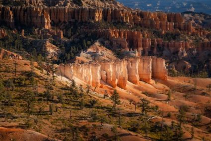 Quels trésors cachés nous révèlent les parcs nationaux australiens ?