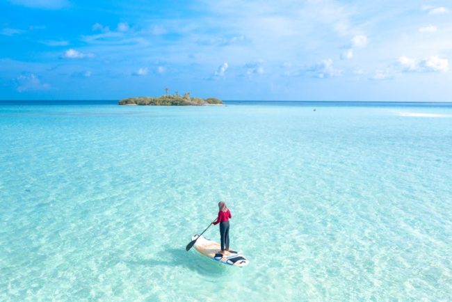 Paddle pour la musculation