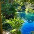 L'eau bleue cristalline de l'une des cénotes du Mexique, entourée d'une végétation de jungle verte luxuriante et d'arbres tropicaux, sous la lumière naturelle du soleil.